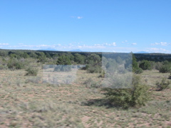 IMG_0721.JPG