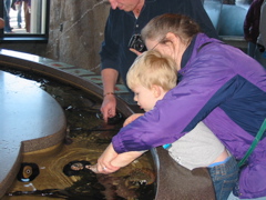 IMG_0151.JPG